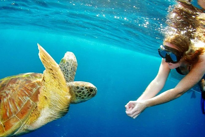 Best Snorkeling Trip at Blue Lagoon Bali - Tanjung Jepun: where the fish can be amazing (and jellyfish show up)