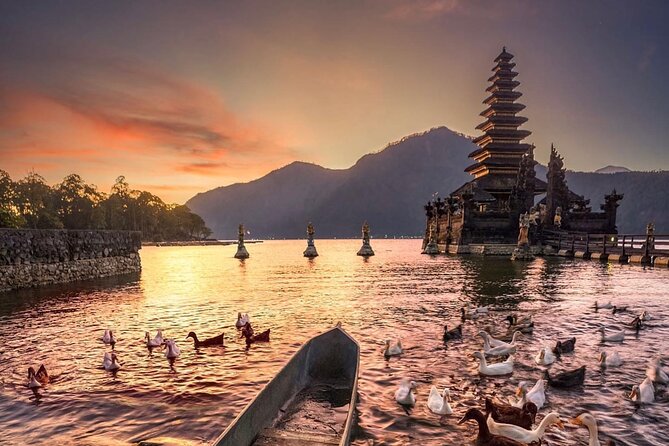 Best Ubud Tour with Instagrammable Jungle Swing all inclusive - Sacred Monkey Forest Sanctuary: temples plus playful (and fast) macaques