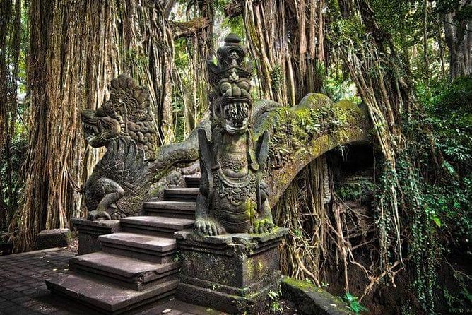 Best Ubud Tours -All inclusive with private driver - A private Ubud route that saves your energy