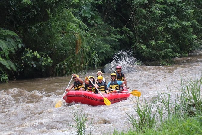 Best White Water Rafting in Bali - What I’d watch out for: the climb and the photo gap