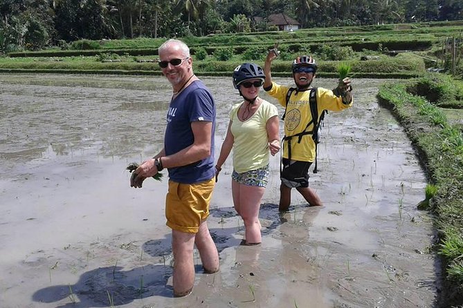 Bike ride in the rice fields, Bali countryside - The school stop: when classes are on