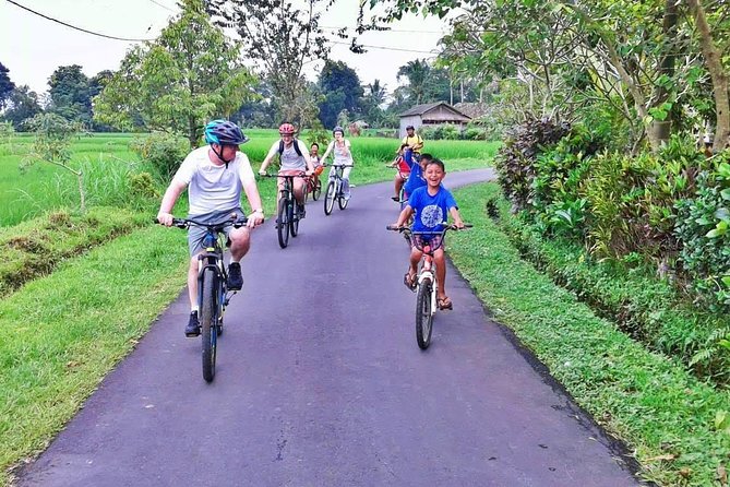 Bike ride in the rice fields, Bali countryside - Lunch over rice fields and a river: the payoff