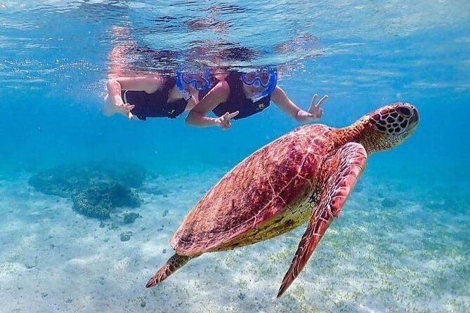 Bloo Lagoon Snorkeling East Bali Includes Transportation & Lunch - Blue Lagoon in Padangbai: the snorkeling part you actually came for