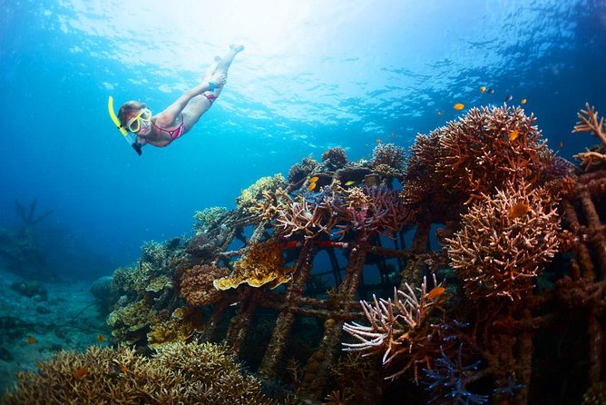 Bloo Lagoon Snorkeling East Bali Includes Transportation & Lunch - Lunch included: the real recovery meal after snorkeling