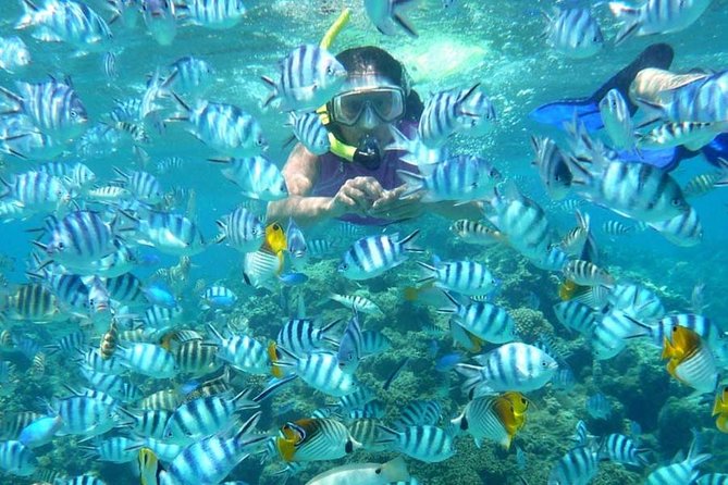 Bloo Lagoon Snorkeling East Bali Includes Transportation & Lunch - Kusamba Black Sand Beach: quick, fun, and photo-focused