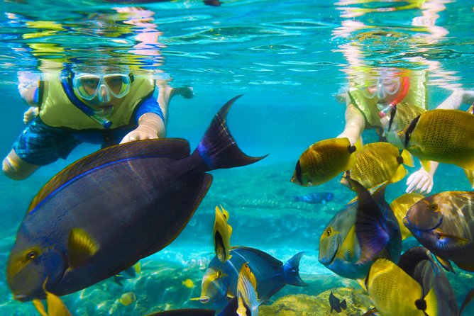 Bloo Lagoon Snorkeling East Bali Includes Transportation & Lunch - Value check: is $82.50 a fair deal?