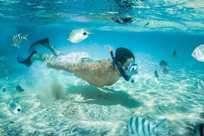 Blow Lagoon Bali Snorkeling and see Bali Bats Cave Temple - A tight day that mixes reef time and a famous cave temple