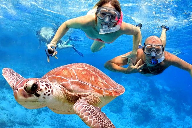 Blow Lagoon Bali Snorkeling and see Bali Bats Cave Temple - Getting from your hotel to Blue Lagoon without the hassle