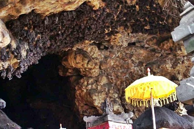 Blow Lagoon Bali Snorkeling and see Bali Bats Cave Temple - Snorkeling at Blue Lagoon: what you’ll actually see