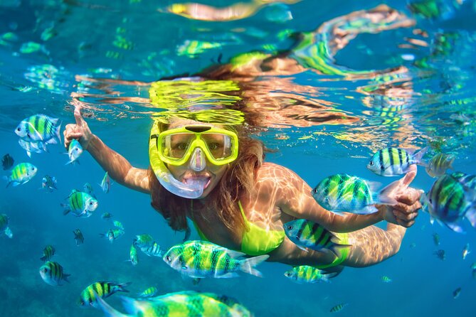 Blue Lagoon Bali Snorkeling Experience - What you’re really paying for at $45.45