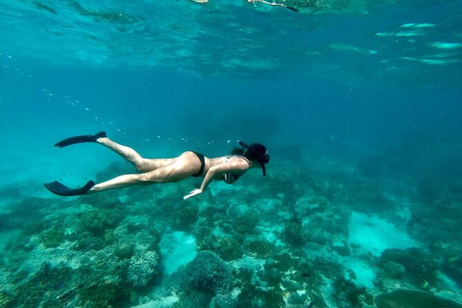 Blue Lagoon Snorkeling and Lunch - Ubud Monkey Forest - Waterfall - Ubud Monkey Forest as the final stop: what to expect