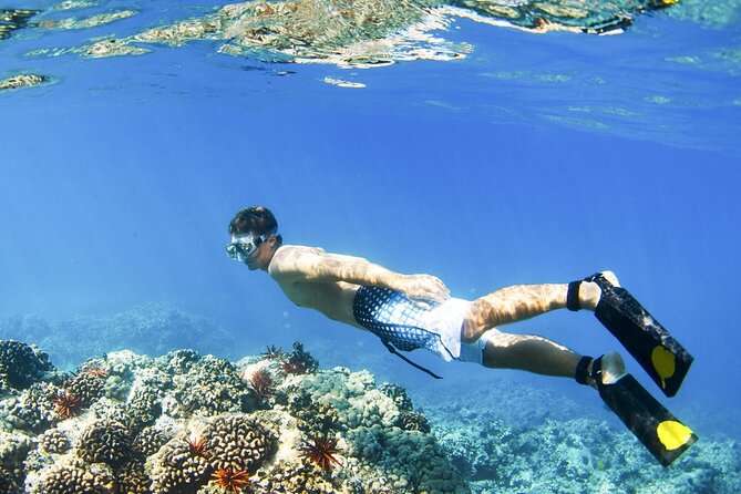 Blue Lagoon Snorkeling and Lunch - Ubud Monkey Forest - Waterfall - Boat transfers and the rhythm of the day on the water