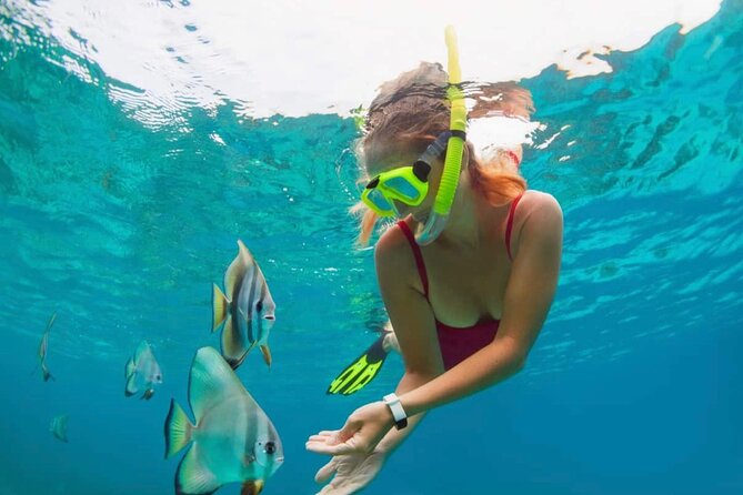 Blue Lagoon Snorkeling and Lunch with Private Transfer - The Water-Ready Reality: Weather and Sea Conditions