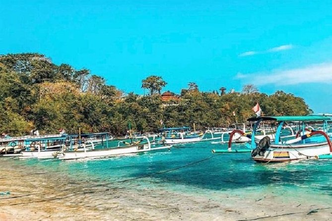Blue Lagoon Snorkeling and Lunch with Visit Tegenungn Waterfall in Ubud - Blue Lagoon Snorkeling: Two Spots, One Guide, and Real Time in the Water