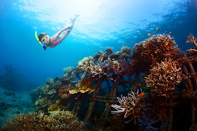 Blue Lagoon Snorkeling and Uluwatu Sunset Tour - Uluwatu Temple at sunset: cliff views plus a monkey-proof mindset