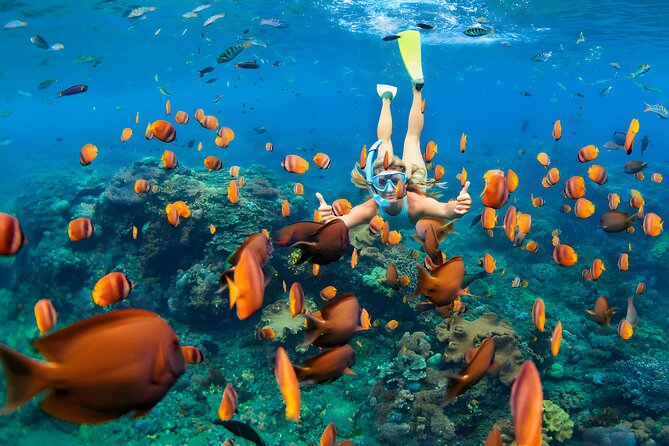 Blue Lagoon Snorkeling and Uluwatu Sunset Tour - Jimbaran Beach seafood dinner: the finish that actually feels like a celebration