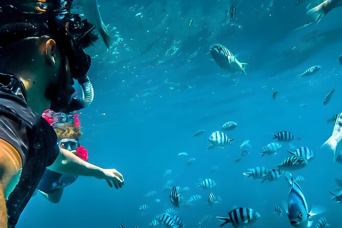 Blue Lagoon Snorkeling - Bali Best Snorkeling Site - Key Things I’d Watch for Before You Go