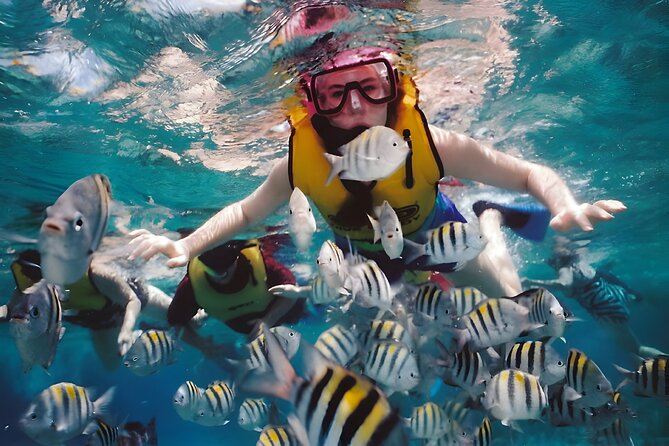 Blue Lagoon Snorkeling - Bali Best Snorkeling Site - Getting There and Back: Pickup, Traffic, and Real Timing