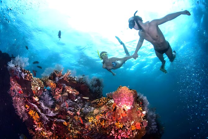 Blue Lagoon Snorkeling - Bali Best Snorkeling Site - The Snorkeling Plan: Two Spots, One Comfortable Pace