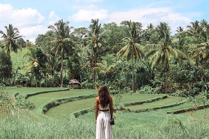 Blue Lagoon Snorkeling - Jungle Swing - Ubud - All Inclusive - Pickup, Private Tour Style, and Timing from Kuta