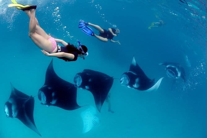 Blue Lagoon Snorkeling with Lunch and Private Transport - Lunch and included snorkeling gear: what’s really in the package