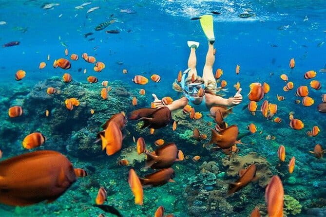 Blue Lagoon Snorkeling with Lunch and Private Transport - Private transport in Seminyak: how it changes your day