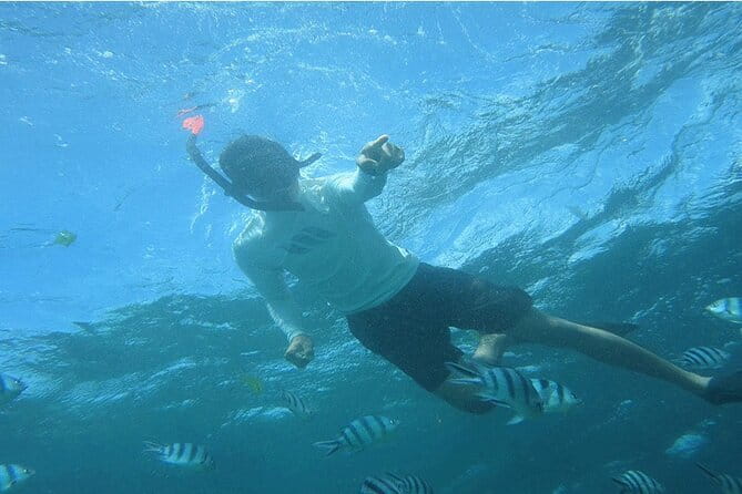 Blue Lagoon Snorkeling with Lunch and Private Transport - The two main snorkeling zones: Blue Lagoon first, then Tanjung Jepun