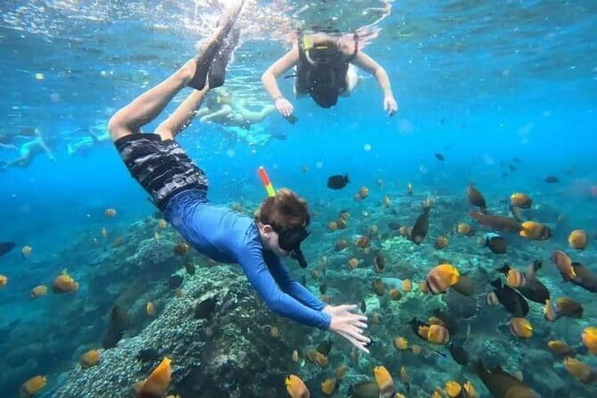 Blue Lagoon Snorkeling with Lunch and Waterfall in Ubud - Key Highlights You’ll Feel in the Day