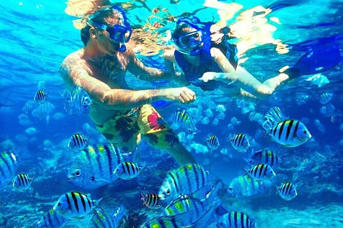 Blue Lagoon Snorkeling with Lunch and Waterfall in Ubud - A Long Day That’s Actually Organized: Seminyak Pickup to Waterfall Timing