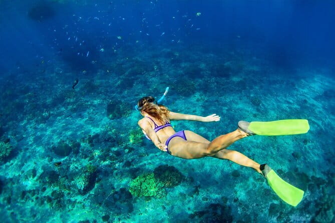 Blue Lagoon Snorkeling with Lunch and Waterfall in Ubud - Transport, Duration, and Private Group Size: What 10 Hours Feels Like