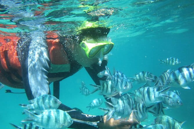 Blue Lagoon Snorkeling with Lunch and Waterfall in Ubud - Who Should Book This Private Blue Lagoon + Waterfall + Coffee Day