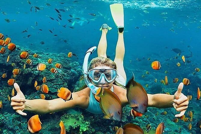 Blue Lagoon Snorkeling with Lunch and Waterfall in Ubud - Blue Lagoon Snorkeling at Ceningan: Gear, Boat Transfers, and Real Reef Time