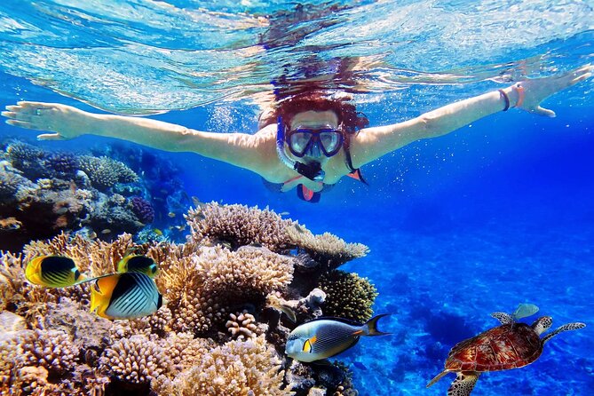 Blue Lagoon & Tanjung Jepun Snorkeling Private Tour - Key things I’d plan around