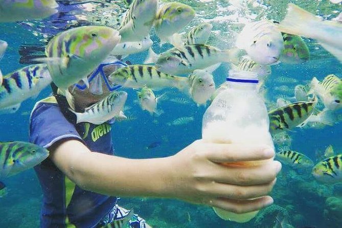 Blue Lagoon & Tanjung Jepun Snorkeling Private Tour - Price and Value: What $50 Covers on a Private Snorkel Day