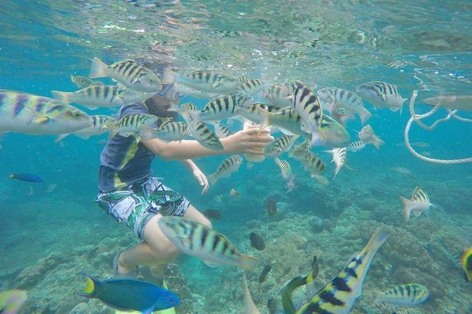 Blue Lagoon & Tanjung Jepun Snorkeling Private Tour - Weather Rules: The One Variable That Changes Everything