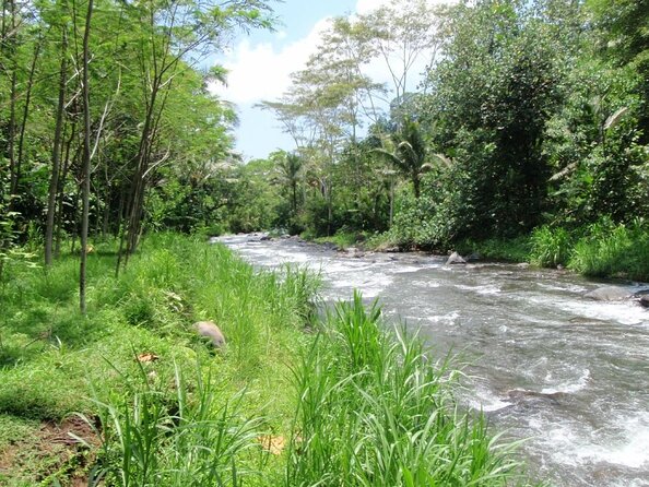 BMW Bali Rafting + Flying Fox at Telaga Waja River (LESS STAIRS) - Key Highlights You’ll Feel During the Day