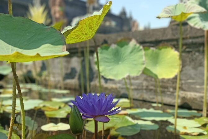Brahmavihara Arama Banjar Hot Spring Ulundanu Bratan Private Tour - Banjar Natural Hot Springs: when you want a swim, not a peek