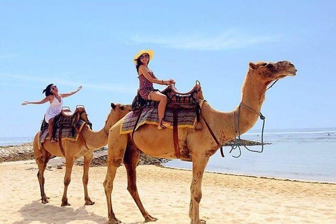 Camel Safari 30 minutes In White Sand Beach - Camel Safari on Sawangan Beach: Why 30 Minutes Feels Like the Right Amount