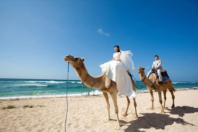 Camel Safari 30 minutes In White Sand Beach - Itinerary in Real Life: What Your 30 Minutes Looks Like