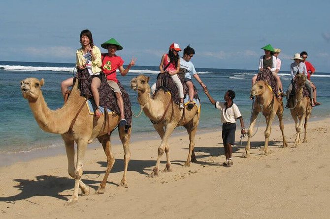 Camel Safari 30 minutes In White Sand Beach - The Ride Experience: What Happens Once You’re on the Camel