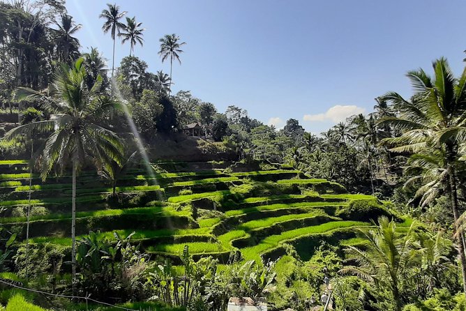 Candidasa Private Car with English Speaking Driver - Timing: how to survive an 8 to 10 hour Bali day