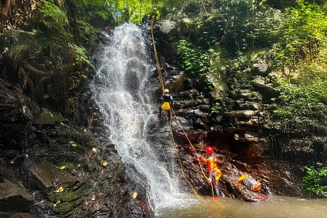 Canyoning Bali, Excalibur Canyon (Adventure, discovery, nature) - Key Highlights You’ll Feel Immediately