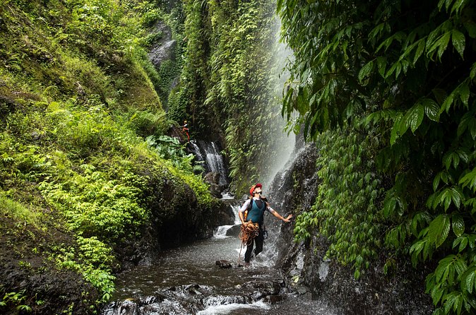 Canyoning Bali, Tamata Canyon (Adventure, discovery, nature) - Should you book Tamata Canyon with Canyoning Bali?