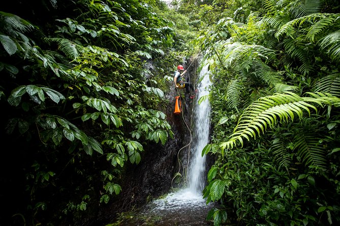 Canyoning Bali, Tamata Canyon (Adventure, discovery, nature) - The itinerary flow: hike down, then a long 5–6 hour canyon descent