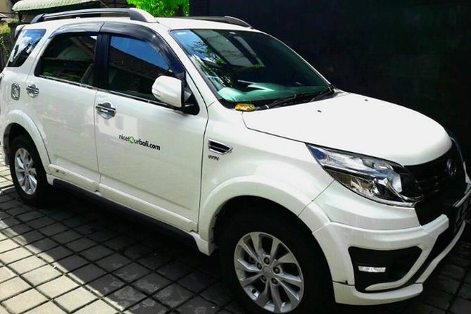 Car charter in Bali with English Speaking Driver - What this car charter covers at the $30 rate (and what may cost extra)