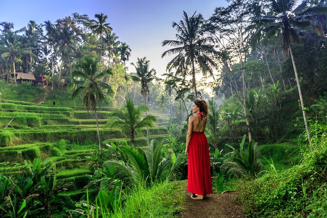 Cave Tubing Adventure & Rice terrace - Price and Value at $18.95 Per Person