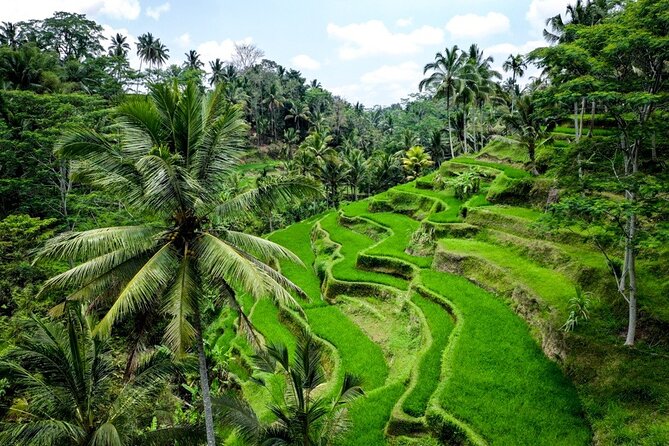 Central Bali Tour: Ubud Village, Kintamani Volcano, and Waterfall - Tegenungan Waterfall: A Natural Finish Between Ubud and Bali South