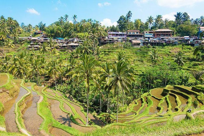 Central Bali Tour: Ubud Village, Kintamani Volcano, and Waterfall - Price and What $70 Buys You in Real Value