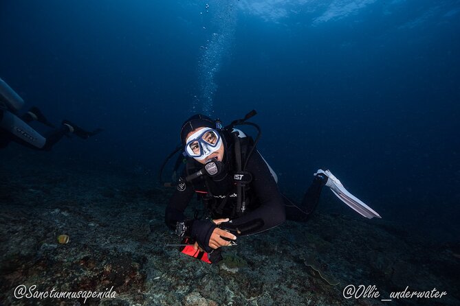 Certified Scuba Dive with Manta Rays (Open Water Diver minimum) - Gear Is Handled for You (Mask Included)