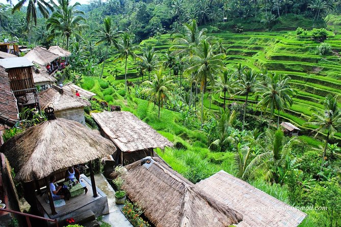 Charter Standard Vehicle with Driver at Bali- 5 Hours Usage - Picking Your Start Time: 08:00 to 11:00 and How the 5 Hours Get Counted